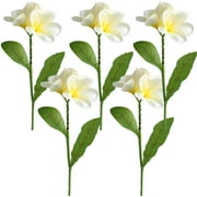 5PCS PU Real Touch Lifelike Artificial Plumeria Frangipani Flower Stems - Perfect for Weddings, Home Decor, and Spring Parties -