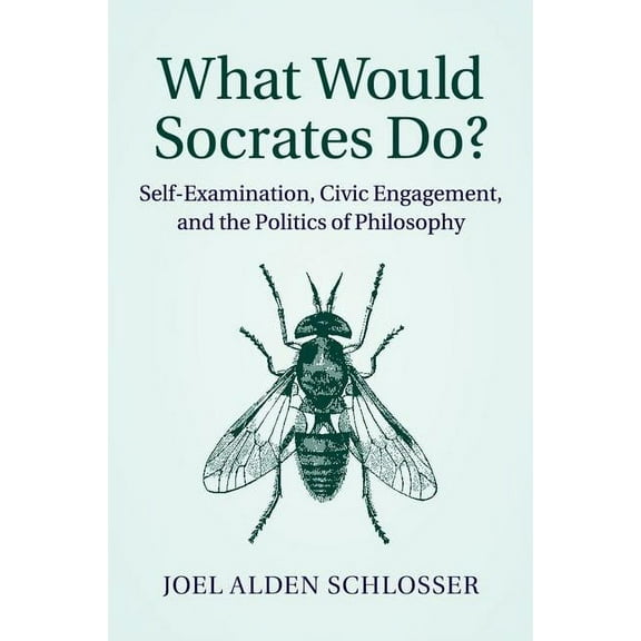 What Would Socrates Do?, (Paperback)
