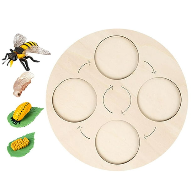 Tablero de ciclo de vida, juguete para niños, juguetes educativos tempranos, material didáctico de naturaleza para Navidad. Mariquita