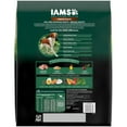 thumbnail image 3 of Iams Advanced Health Immune Health Chicken & Superfoods Recipe Adult Dry Dog Food, 13.5 Lb Bag, 3 of 15
