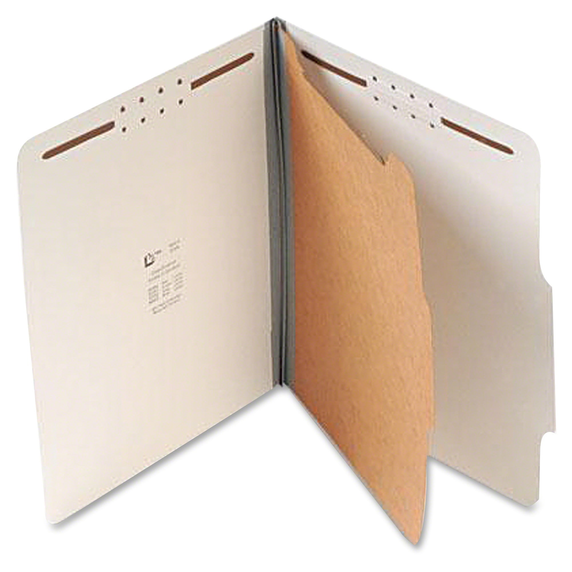 Classification Folder,1 Divider,4 Fasteners, Letter,20/BX,GY, Sold as 1 ...