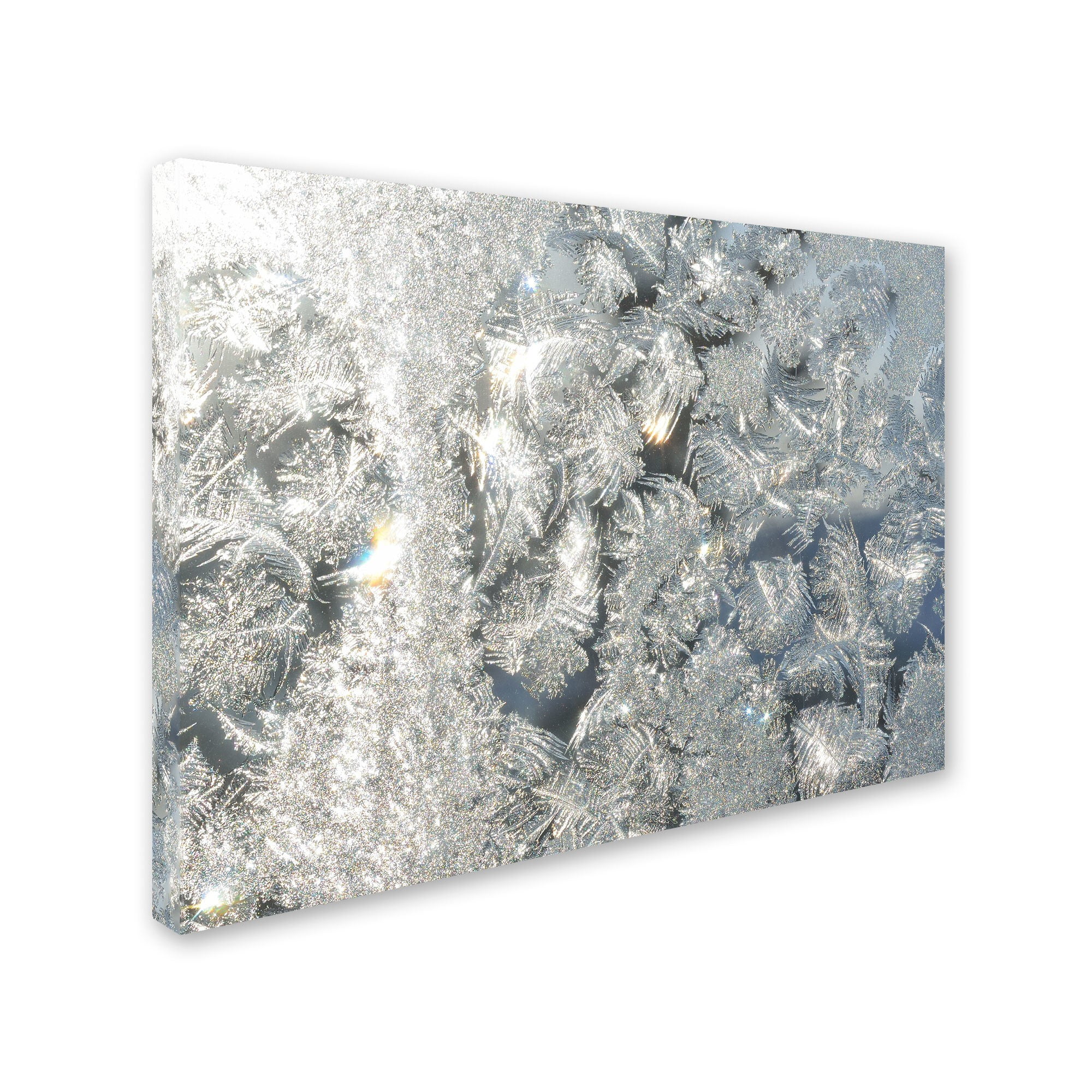 Trademark Fine Art "Frost Pattern in the Sun" Canvas Art by Kurt Shaffer