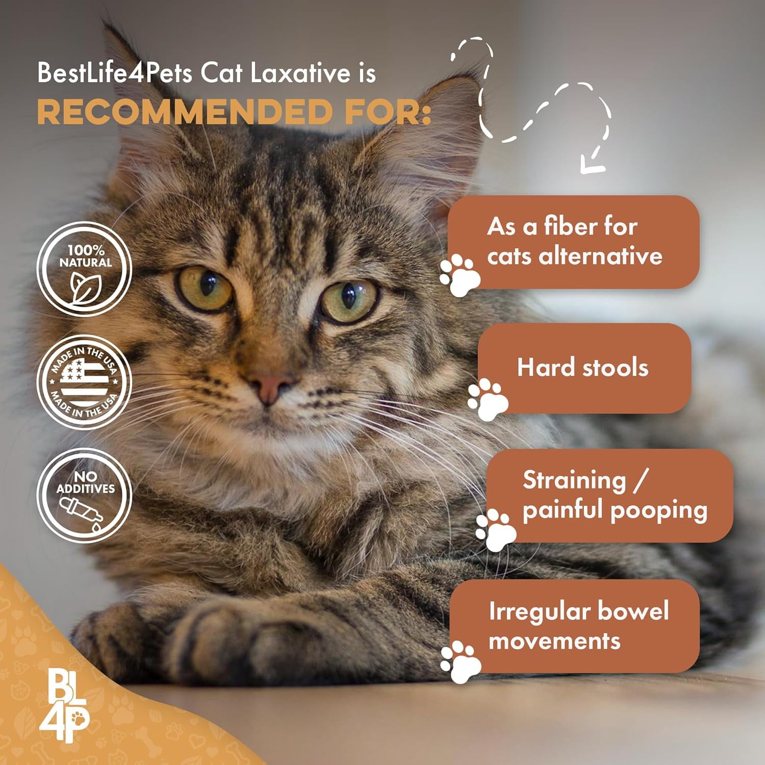 BestLife4Pets Natural Cat Digestive Health Supplement Laxative Constipation Relief Gas Relief Walmart