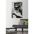 thumbnail image 2 of DC Comics Movie - The Dark Knight Rises - Catwoman - Social Climber Wall Poster with Push Pins, 22.375" x 34", 2 of 3