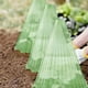 thumbnail image 2 of Campana Tipo Protectores Plantas Campanas Jardín para 5/12/15/21/25/31 Uds Reutilizable Protege Las Pájaros Caracoles Helados, 2 of 9