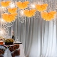 thumbnail image 4 of HEALEEP 12Ud Bolas De Decorativas Para Fiesta Y Resistentes Y, 4 of 6