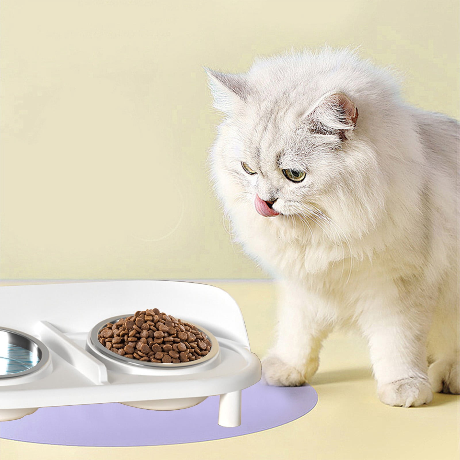 Stainless Steel Double Cat Dog Bowl Set Non Slip Elevated Pet Food Water Bowl Anti Spill Feeding Station Durable Easy Clean Pet Dish Slow Feeding Bowl for Cats Dogs Pets