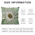 thumbnail image 5 of PHYHOO Vintage Floral Throw Pillow Covers Sunflower&nbsp;Daisy Flowers Home Decorative Pillow Covers Rustic Outdoor Flower Pattern Cushion Cover  Sofa Bedroom Decor Pillow Cases White, 5 of 5