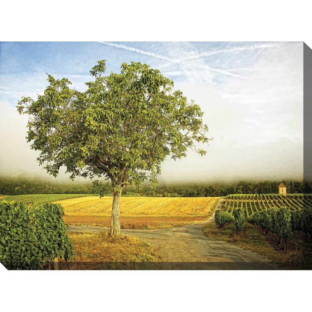 Outdoor Waterproof and Weatherproof Wall Canvas Art, A VINEYARD WALK 1