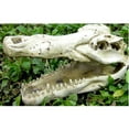 thumbnail image 4 of Aquarium Decorations Environments Skull Cave Resin Artificial Skeleton Head, 4 of 7