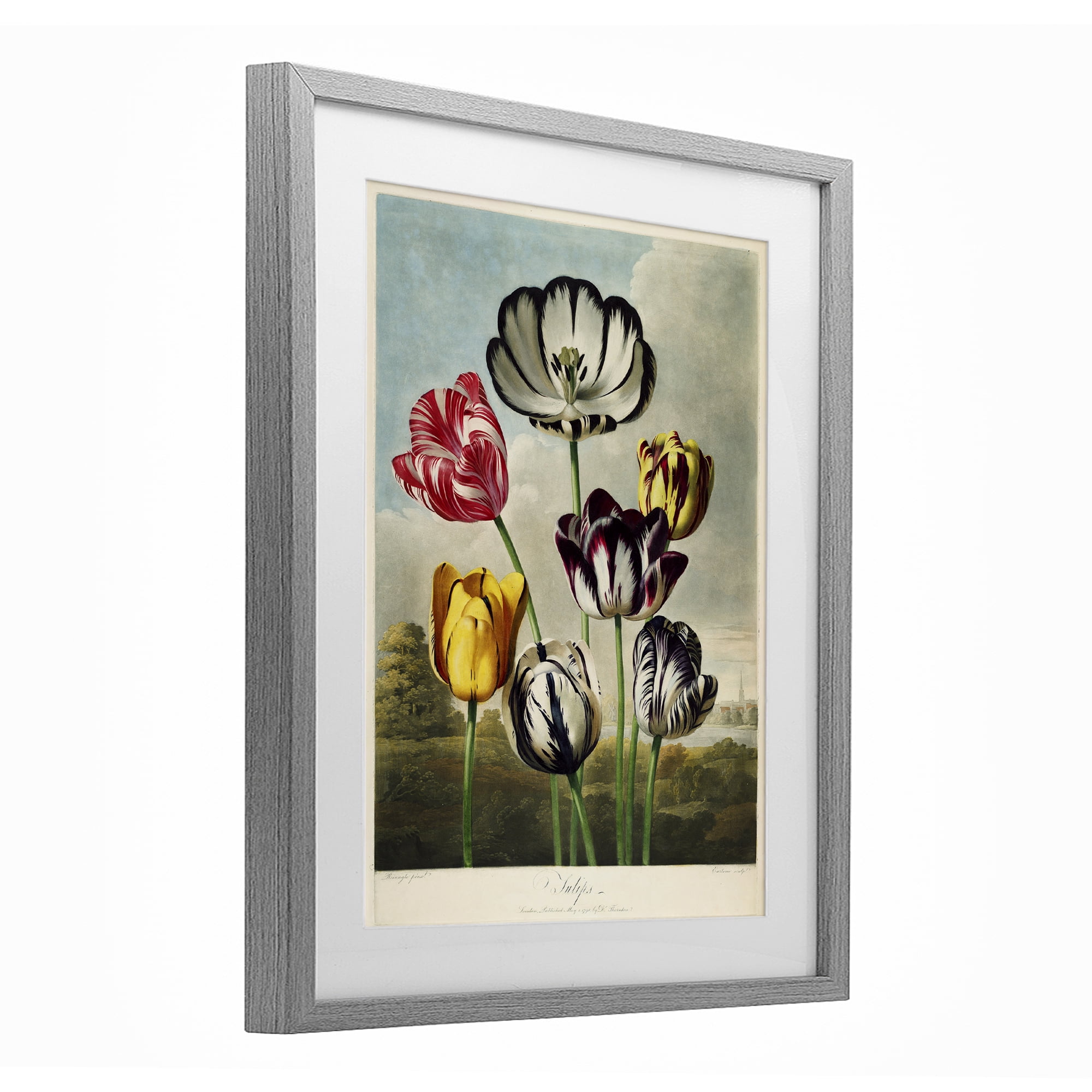Stupell Industries Tulips From The Temple Gray Framed Print Under Glass, design by Print Collection