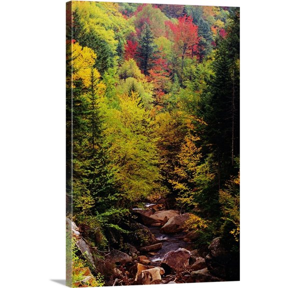 Great BIG Canvas | "Small Stream Through Forest In Autumn" Canvas Wall Art - 20x30