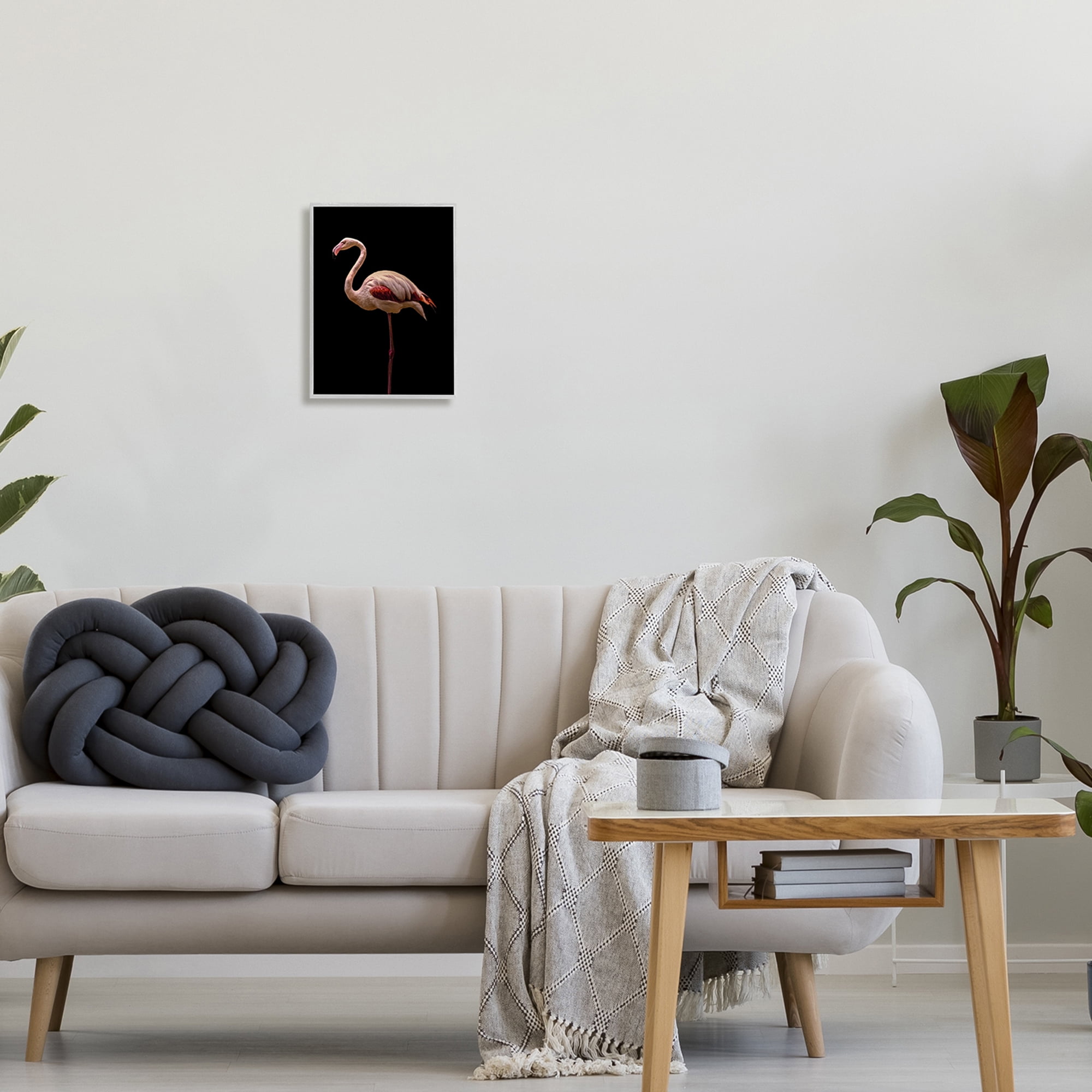 Stupell Industries Striking Pink Flamingo Portrait Detailed Photography Gray Framed Art Print Wall Art, 11x14, by Incado