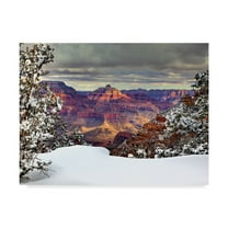 Trademark Fine Art 'Snowy Grand Canyon I' Canvas Art by David Drost