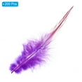 thumbnail image 3 of Unique Bargains 5-6 Inch Rooster Feathers, 200 Pack Bulk Natural Feathers for Crafts Style 2, Purple, 3 of 5