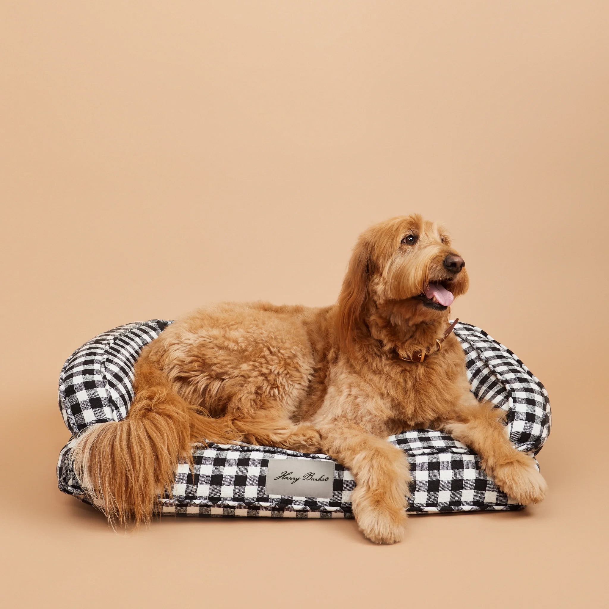 Harry Barker Black Buffalo Check Lounger Bed, Medium