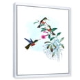 thumbnail image 3 of Designart 'Ancient Hummingbird IV' Traditional Framed Canvas Wall Art Print, 3 of 5