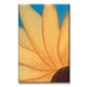 thumbnail image 1 of Cuadro Canva Listo Para Colgar Tipo Galería Girasol 50X75 cm Pixtreats, 1 of 4