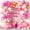 Pink Gold, variant on 137Pcs Pink and Gold Balloons Garland Arch Kit with Stars - 5 10 12 18 inch Light Pink White Gold Latex Balloons for Birthday Baby Shower Bridal Shower Wedding Valentine’s Party Decorations