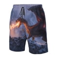 thumbnail image 4 of Pofeuu Winter Fire Dragon Prin Men's Swim Trunks Quick Dry Bathing Suit Swimming Board Shorts Mesh Lining Beach Swimwear-XX-Large, 4 of 6