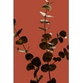thumbnail image 2 of 1x Studio III 17x24 White Modern Wood Framed Museum Art Print Titled - Eucalyptus Gold Rust 01, 2 of 4