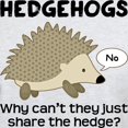 thumbnail image 3 of CafePress - Hedgehog Pun Light T Shirt - Men's Classic Graphic T-Shirt, 3 of 4