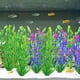 thumbnail image 4 of Plantas acuáticas artificiales para acuario, decoración de plantas de pecera de plástico, 10 piezas., 4 of 5