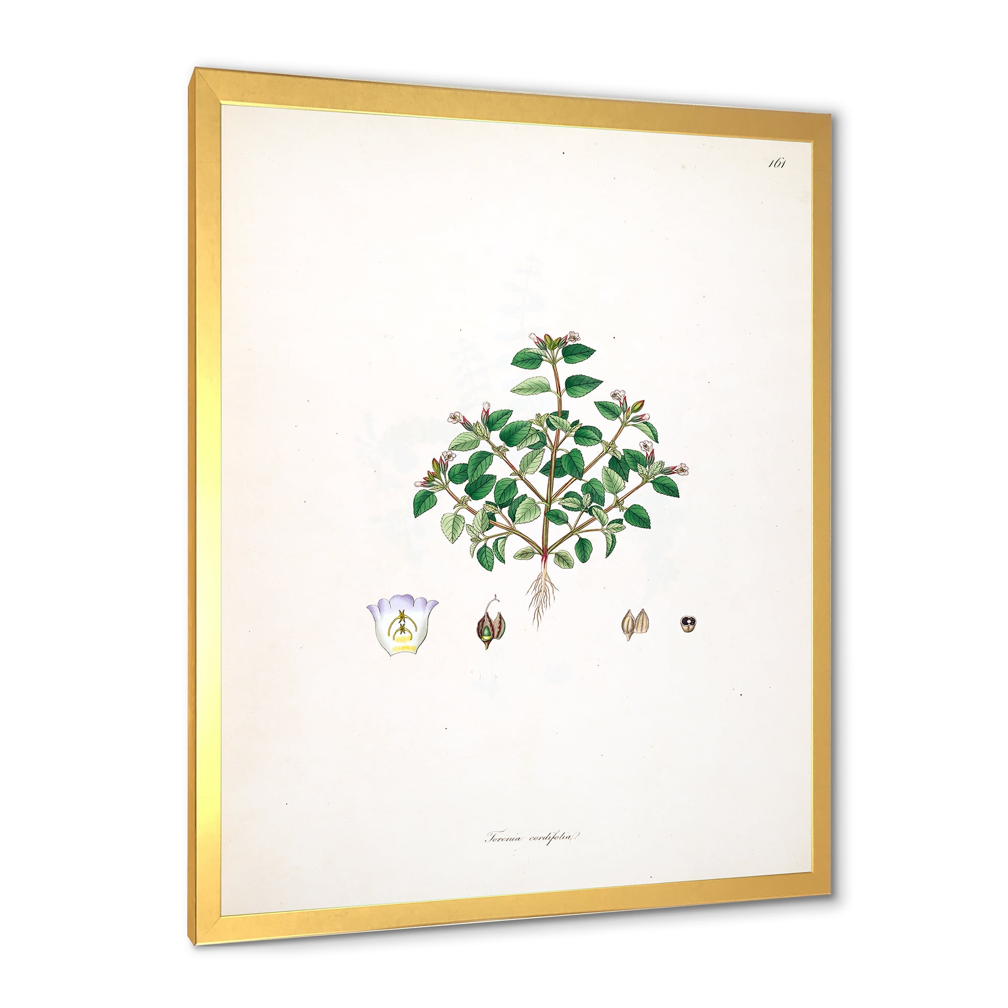 Designart 'Ancient Plant Life XIII' Farmhouse Framed Art Print