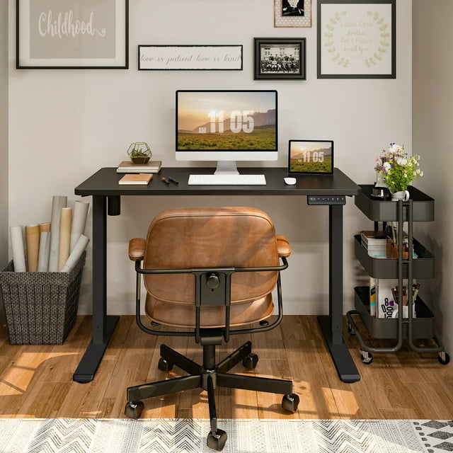 FlexiSpot Bureau Debout Réglable en Hauteur 48"x30 Pouces Noir pour Bureau à Domicile