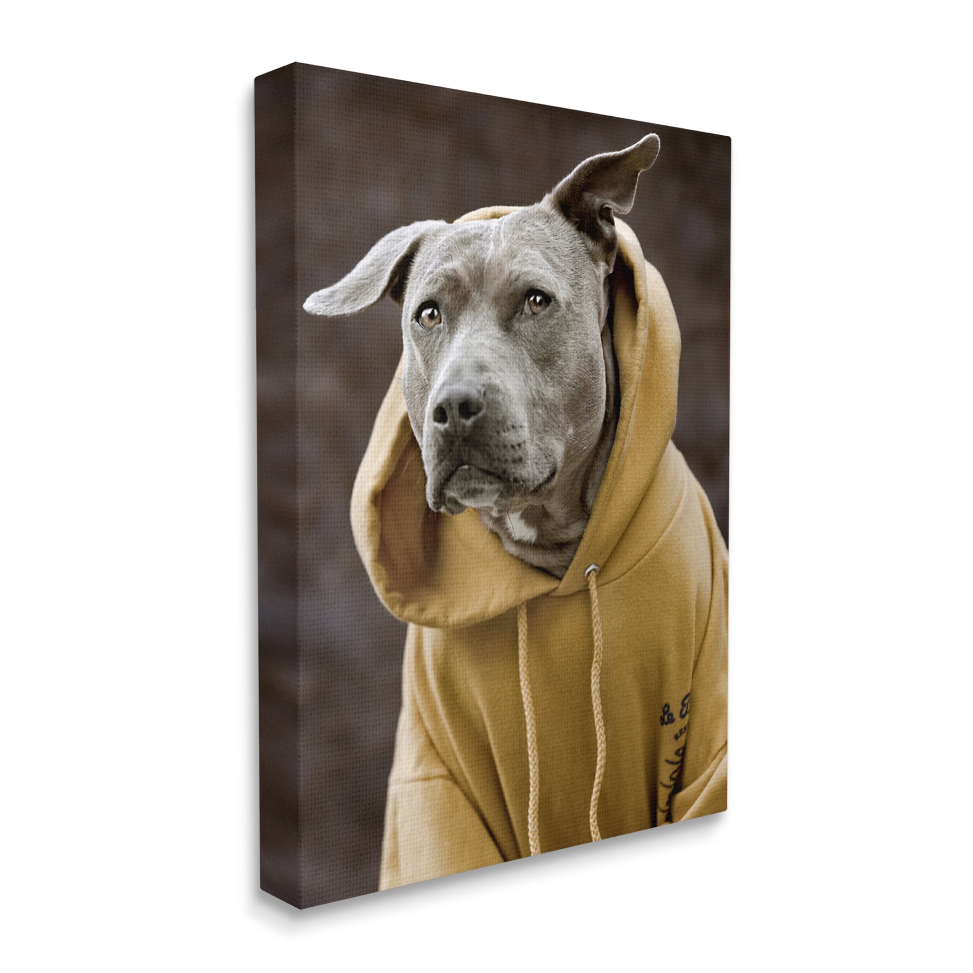 Stupell Industries Smiling Labrador Dog Wearing Hooded Yellow Sweatshirt Photograph Gallery Wrapped Canvas Print Wall Art, Design by Michael Brian