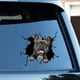 thumbnail image 4 of Pegatinas de baño pegatina de pared perro grieta coche pegatina nevera decoración del hogar Pitbull Dachshund Husky Bulldog grieta decoración del hogar JAMW Sencillez, 4 of 5