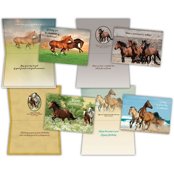 Birthday - Wild Horses - Assorted Birthday Cards