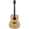 Austin Guitars Solid Top Series Left Han