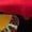 Multi-color, variant on TINYSOME Men Women If You Can Read This Crew Socks Funny Saying Bring Me Tacos Bacon Eggs Hamburger Beer Letters Novelty Cotton Hosiery Gifts