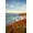 Unframed, variant on Art.com USA, California, La Jolla. Blooming aloe and Wipeout Beach Photographic Print by Ann Collins, 12" x 18"