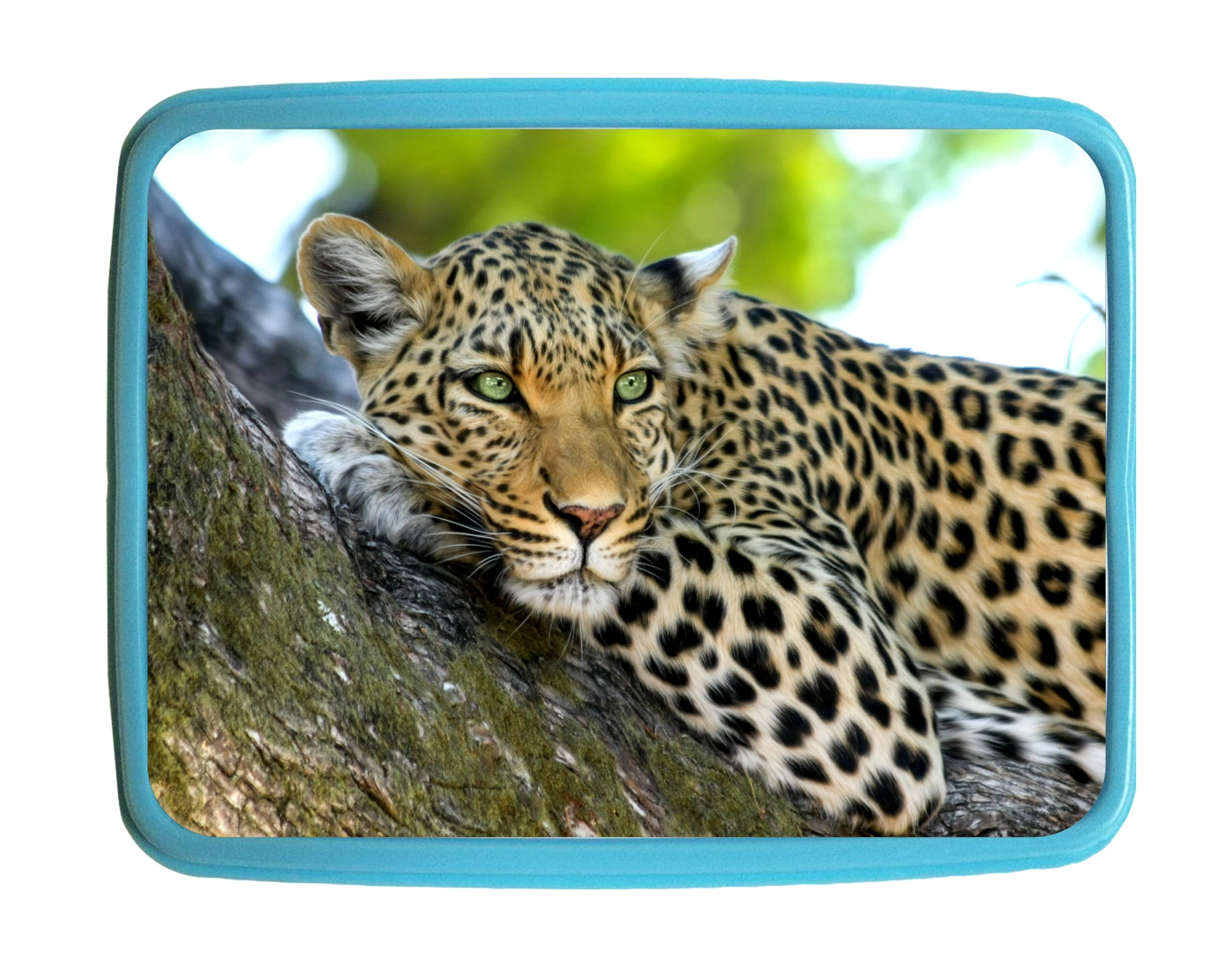 leopard lunch bag walmart