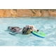 thumbnail image 3 of Frisbee Chuckit! Zipflight Flyer Naranja Flotante Mediano para Perro, 3 of 8