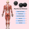 thumbnail image 4 of Trasekky Massage Ball 4 Pack, Lacrosse Ball Massage for Myofascial Release. Deep Tissue Massage Tool for Trigger Point Therapy and Tight Muscles, Muscle Relaxer, Exercise, Yoga, Black, 4 of 7