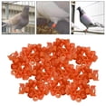 thumbnail image 3 of lionlar 100pcs Birds Foot Bands Pigeon Clip on Leg Rings Identification Tool for Quail, Orange, 3 of 9
