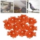 thumbnail image 3 of 100 Uds. Bandas para pies de pájaros de 8mm, anillos para patas con Clip para palomas, herramienta de identificación reutilizable de entrenamiento de , Naranja Sunnimix Anillos de patas de pájaros, 3 of 8