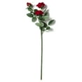 thumbnail image 2 of 12 Pack: Dark Red Sweetheart Rose Spray by Ashland, 2 of 2