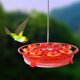 thumbnail image 4 of Alimentador de Aves de Flores,Alimentador de Colibrí Colgando Enganchado Rojo con Escudo de Hormigas Y Percha de 360 Grados,Alimentador de Aves Del Patio Del Jardín Del Puerto de la Flor de 350Ml 8,Al, 4 of 6