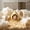 19#Yellow, variant on Ceramic Hamster Cooling House Small Pet Hideout Summer Cooling Nest Sand Bath House Heat Relief Easy Clean All Season Safe Ceramic Cave For Hamster Gerbil Cage Home Use