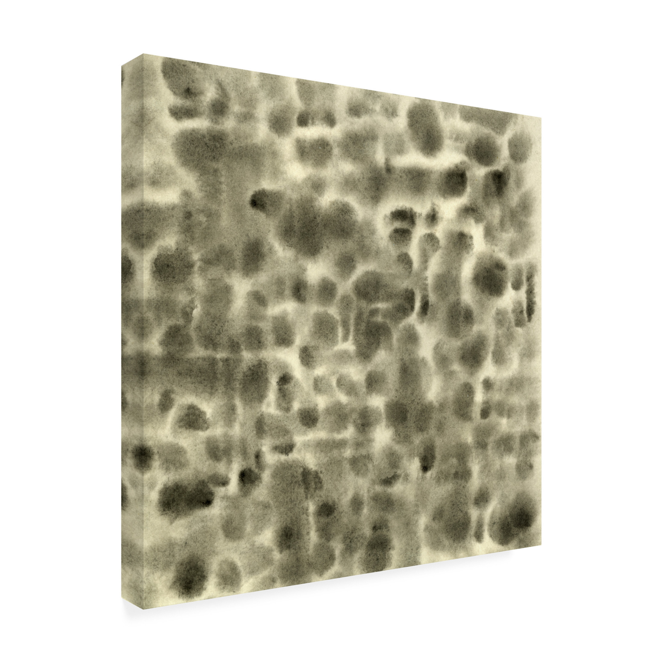 Canvas Wall Art - Emma Caroline 'Leopard Fade IV' Wall Art for Living Room, Bedroom, or Office Décor by Trademark Fine Art - 35 x 35 Inches