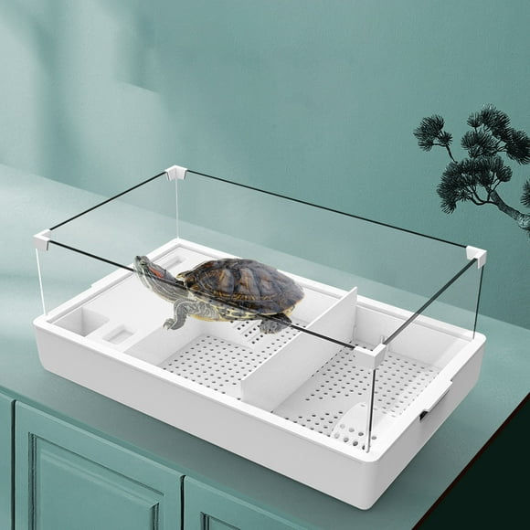 Glass Reptile Terrariums High Translucency Thickened 360 Degree Panoramic View Reptile Terrarium For Turtles Reptiles