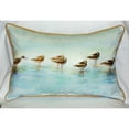 thumbnail image 4 of Betsy Drake ZP024 20 x 24 in. Avocets Extra Large Zippered Pillow, 4 of 4