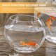 thumbnail image 5 of Tanque de peces de colores multifunción, pecera doméstica, acuario transparente, accesorio para peces, 5 of 7