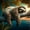 12x12 inch, variant on Diamond Painting Kits for Adults Sleeping Sloth Full Drill DIY Diamond Art for Adults Beginners Picture Art Crystal Painting for Home Wall Decor