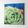 thumbnail image 1 of Unlimited Art Project - Cactus Floral Boho Canvas Wall Art Print Nature Wall Décor Green, 1 of 6