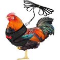 thumbnail image 1 of Arnés y correa ajustables para gallinas y gallos, cuerda de tracción para mascotas, chaleco cómodo y transpirable para gallinas y mascotas con cinturón a juego, correa transpirable para gallinas, 1 of 5